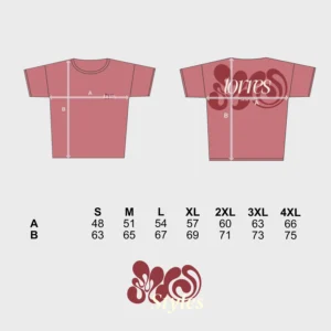 SHIRT LADIES_Sizechart S-4XL